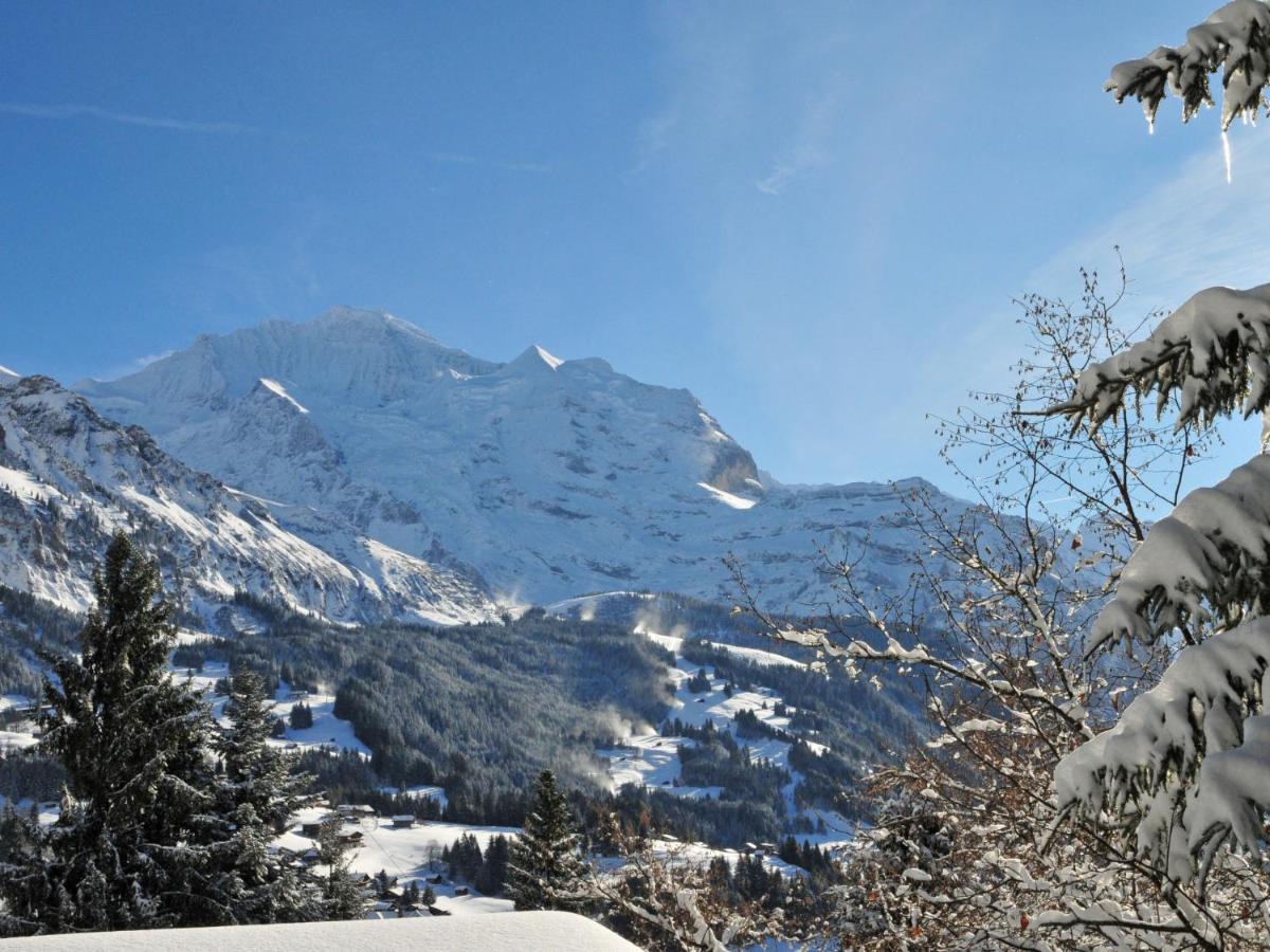Apartment Breithorn-Residence-3 By Interhome Wengen Exterior photo